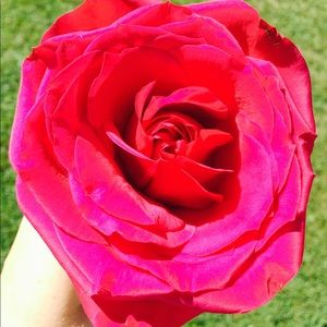 Meet your Posher, Heather